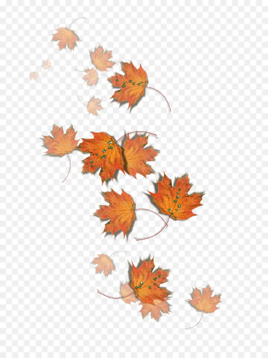 Feuilles Qui Tombent，Automne PNG