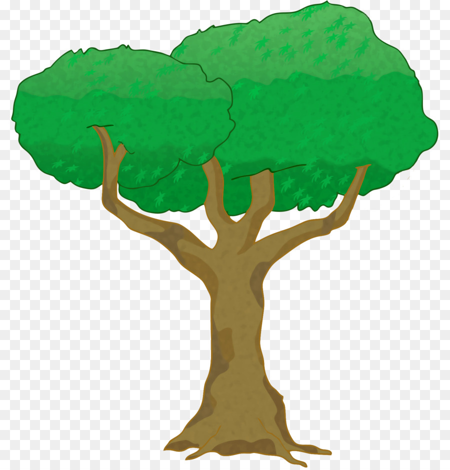 Arbre，Plantes Ligneuses PNG