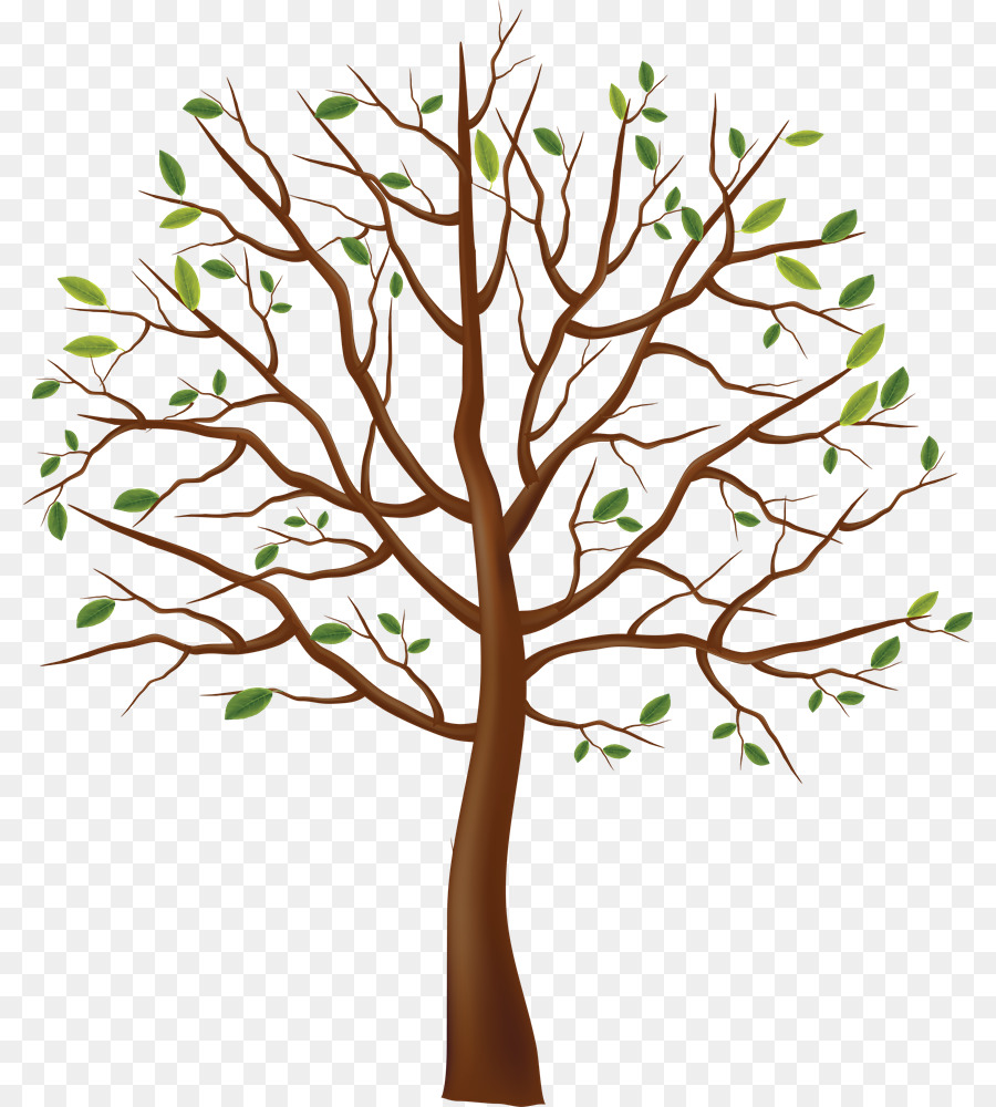 Arbre，Vent PNG