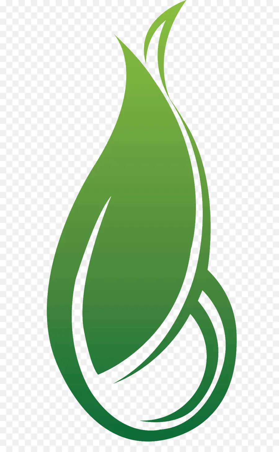 Feuille Verte，Usine PNG