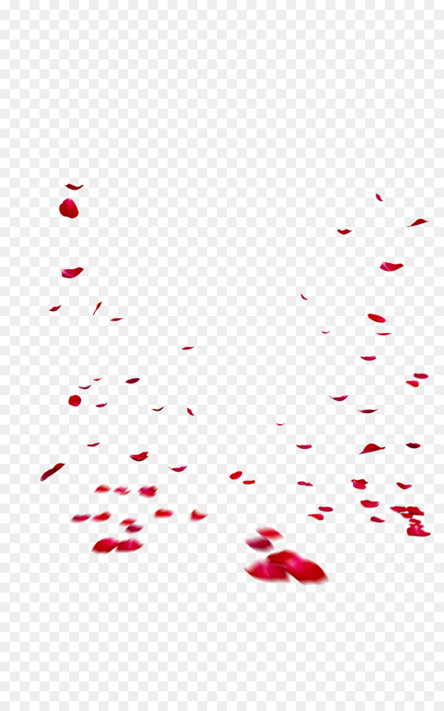 Papillons，Rouge PNG