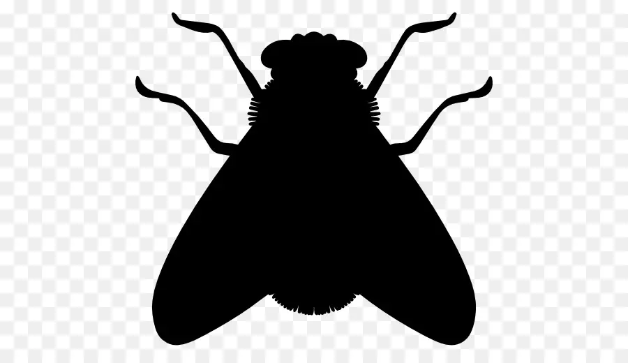 Les Insectes，Silhouette PNG