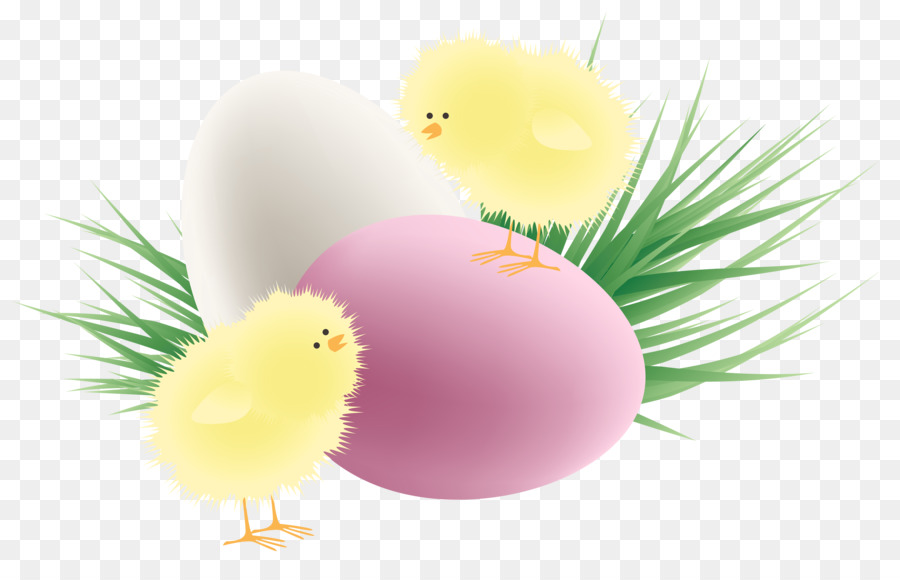 Poussins Et œufs，Herbe PNG