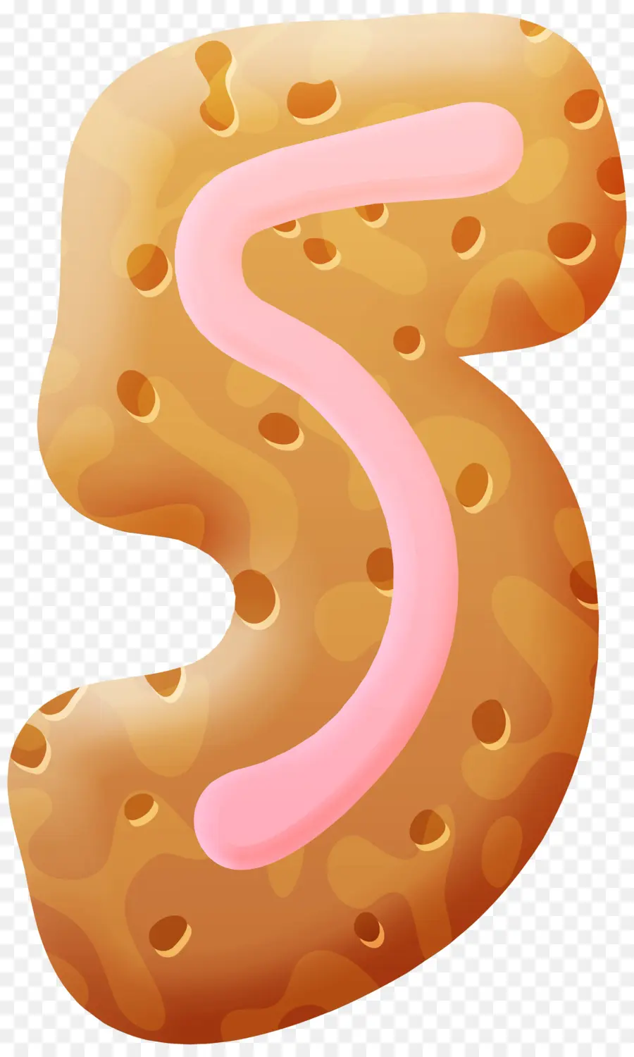 Génoise，Biscuit PNG