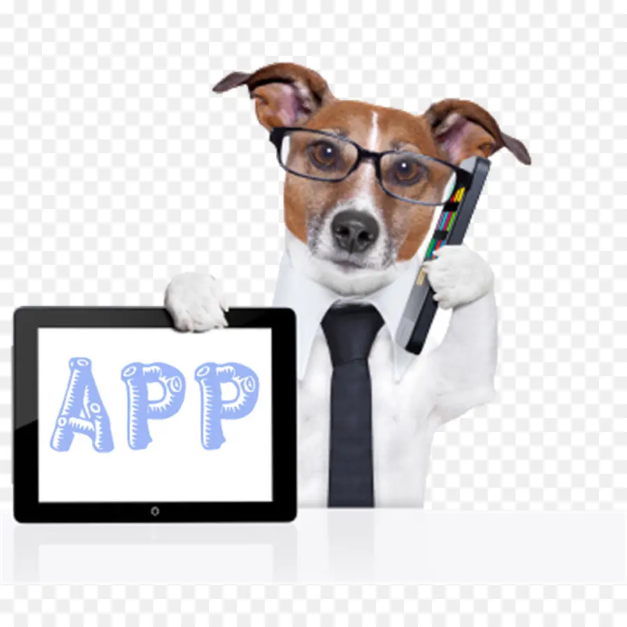 Chien Avec Tablette，Gadget PNG