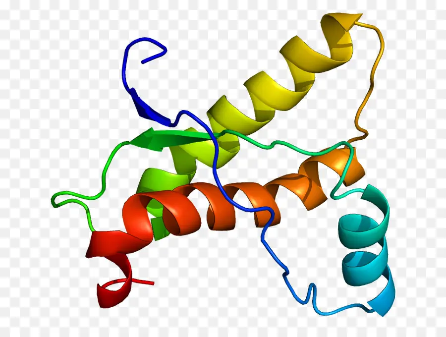 Prion，Protéine PNG
