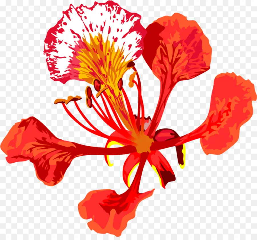 Fleur Rouge，Fleurir PNG