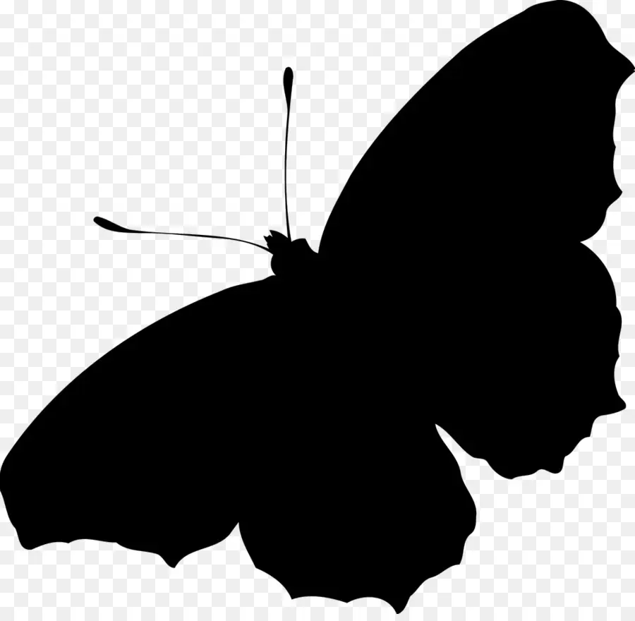 Silhouette De Papillon，Noir PNG