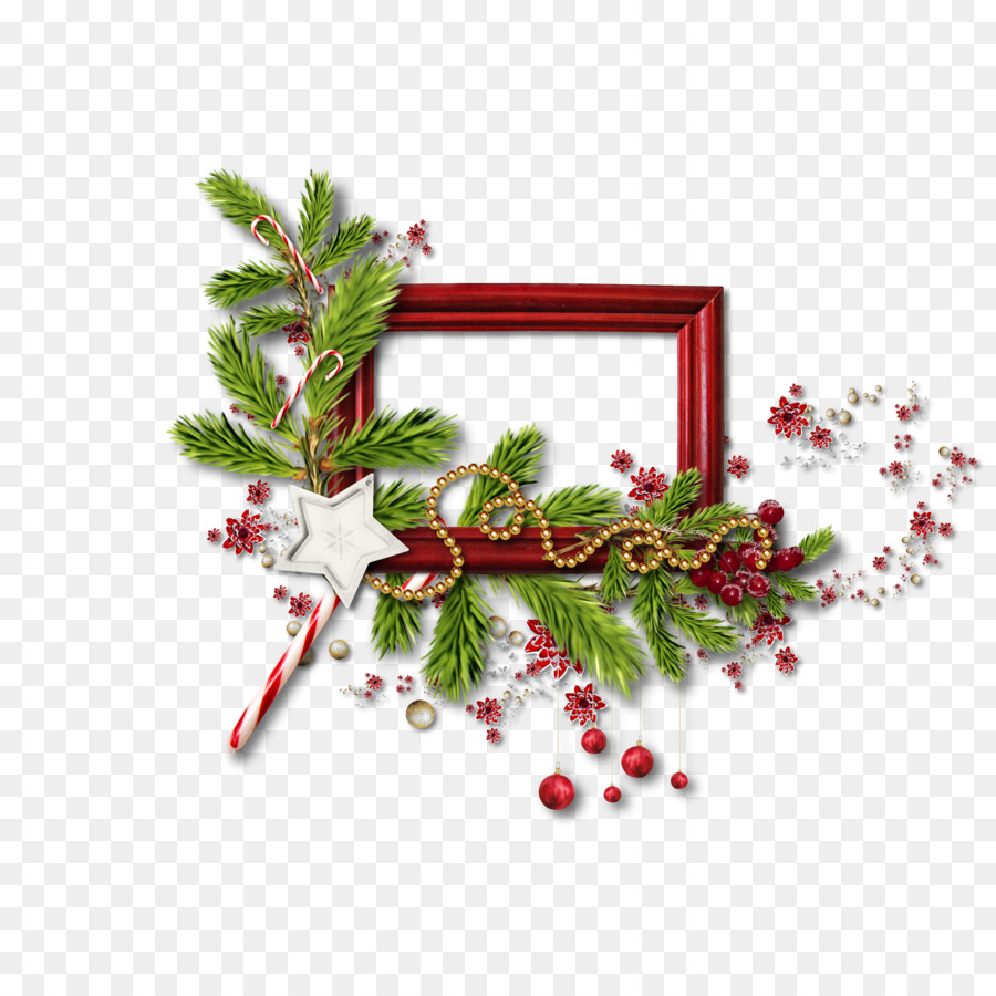 Cadre De Noël，Branches De Pin PNG