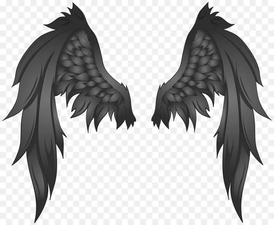 Ailes Noires，Plumes PNG