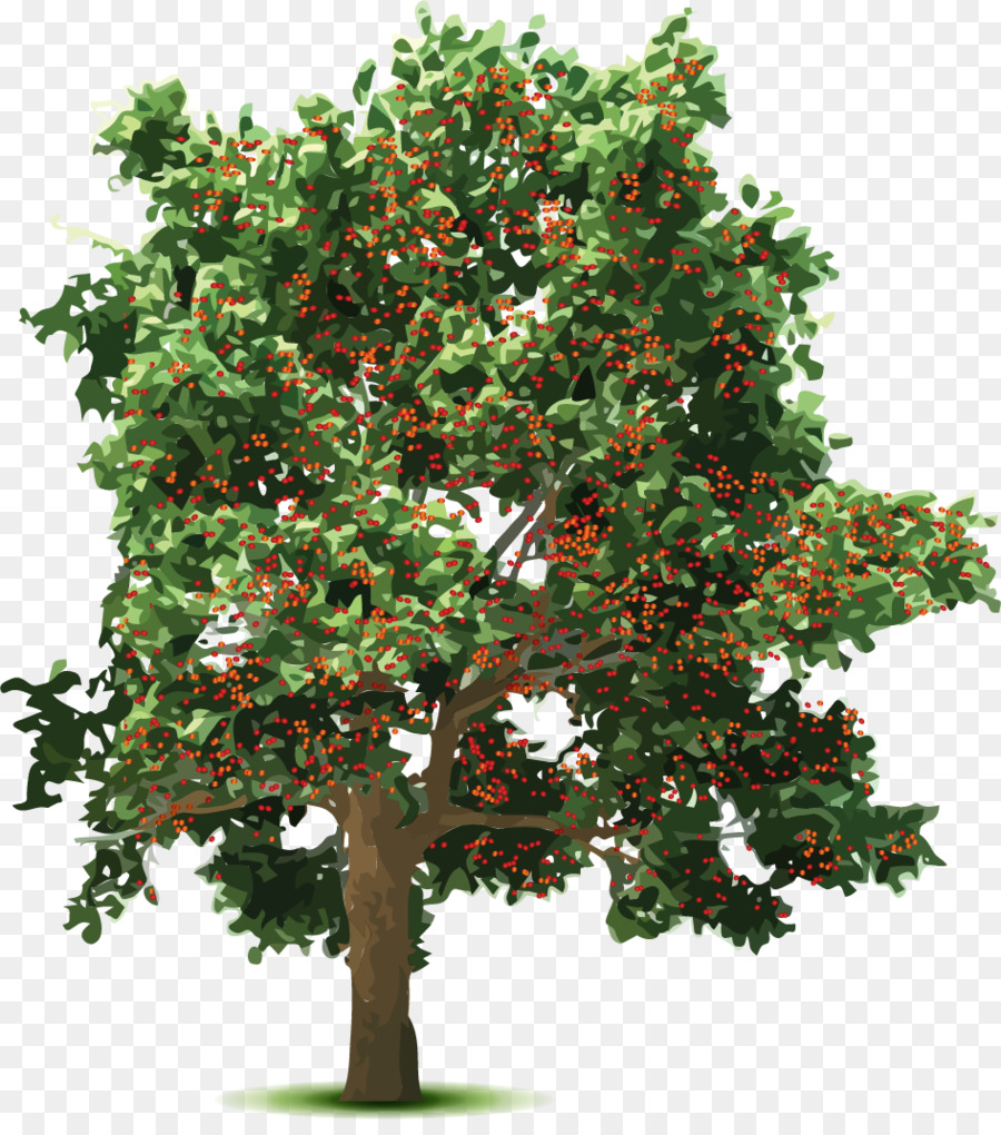 Arbre，Feuilles PNG