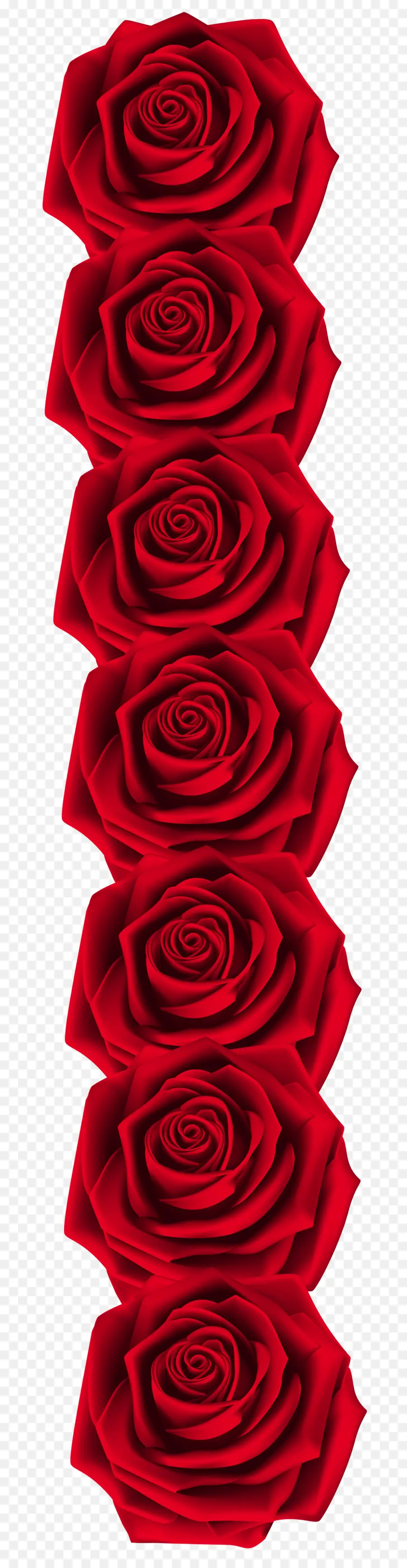 Rose，Rouge PNG