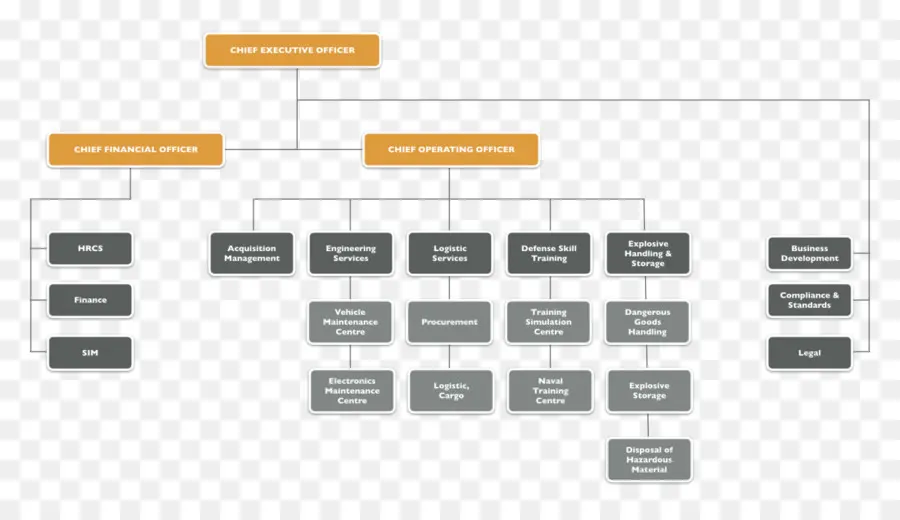 Organigramme，Structure PNG