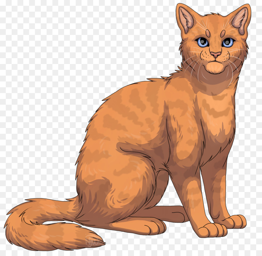 Chat，Animal De Compagnie PNG