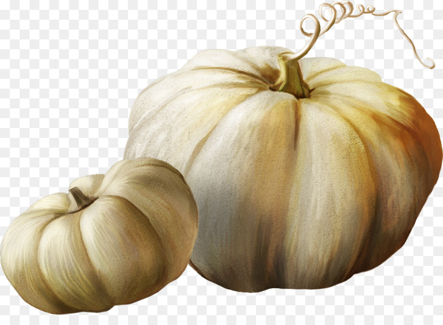 Citrouille Verte，Gourde PNG