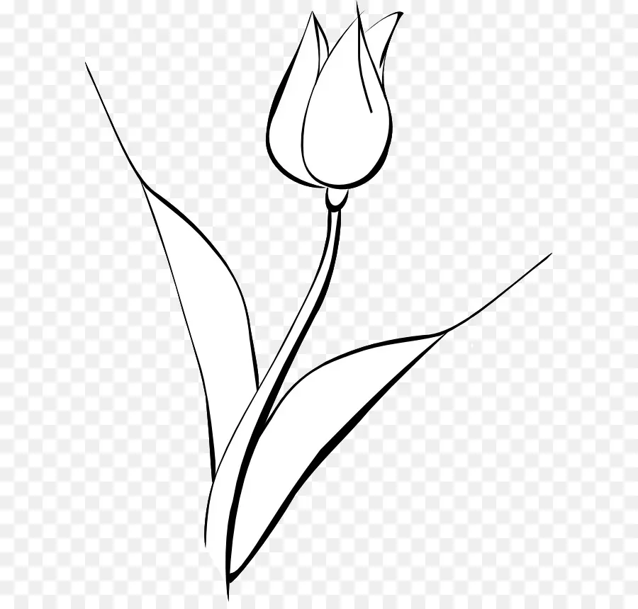 Tulipe，Usine PNG