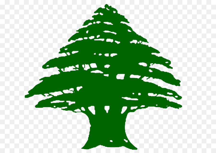 Drapeau Du Liban, Phoenicia, Cedrus Libani PNG  Drapeau Du Liban