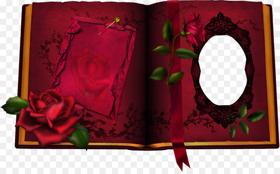 Album Photo Rouge，Rose PNG