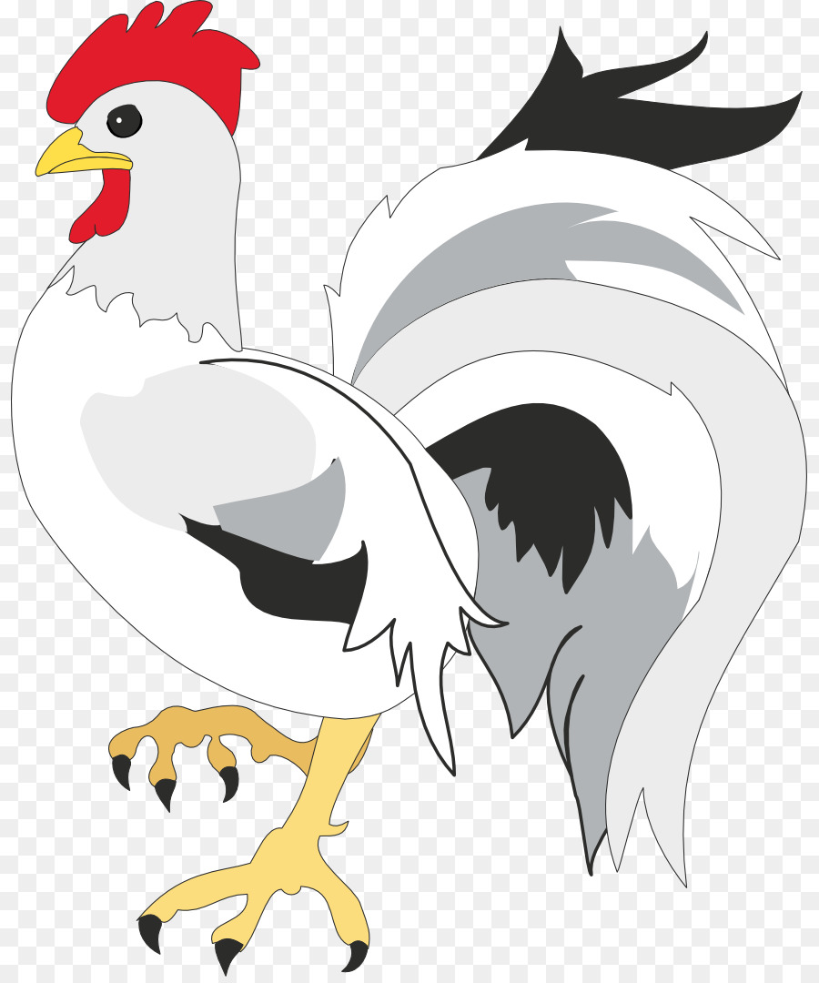 Coq，Dessin PNG