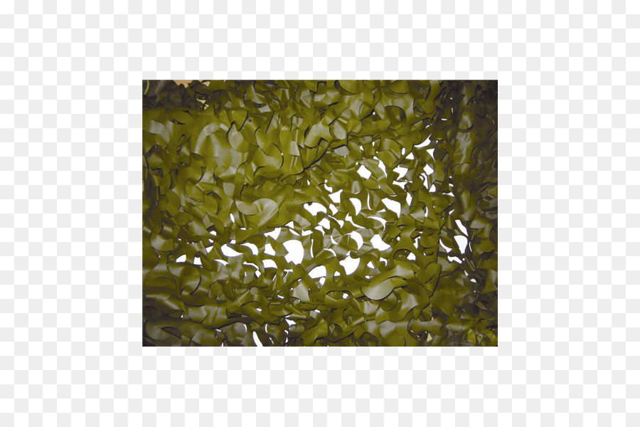 Camouflage，Net PNG