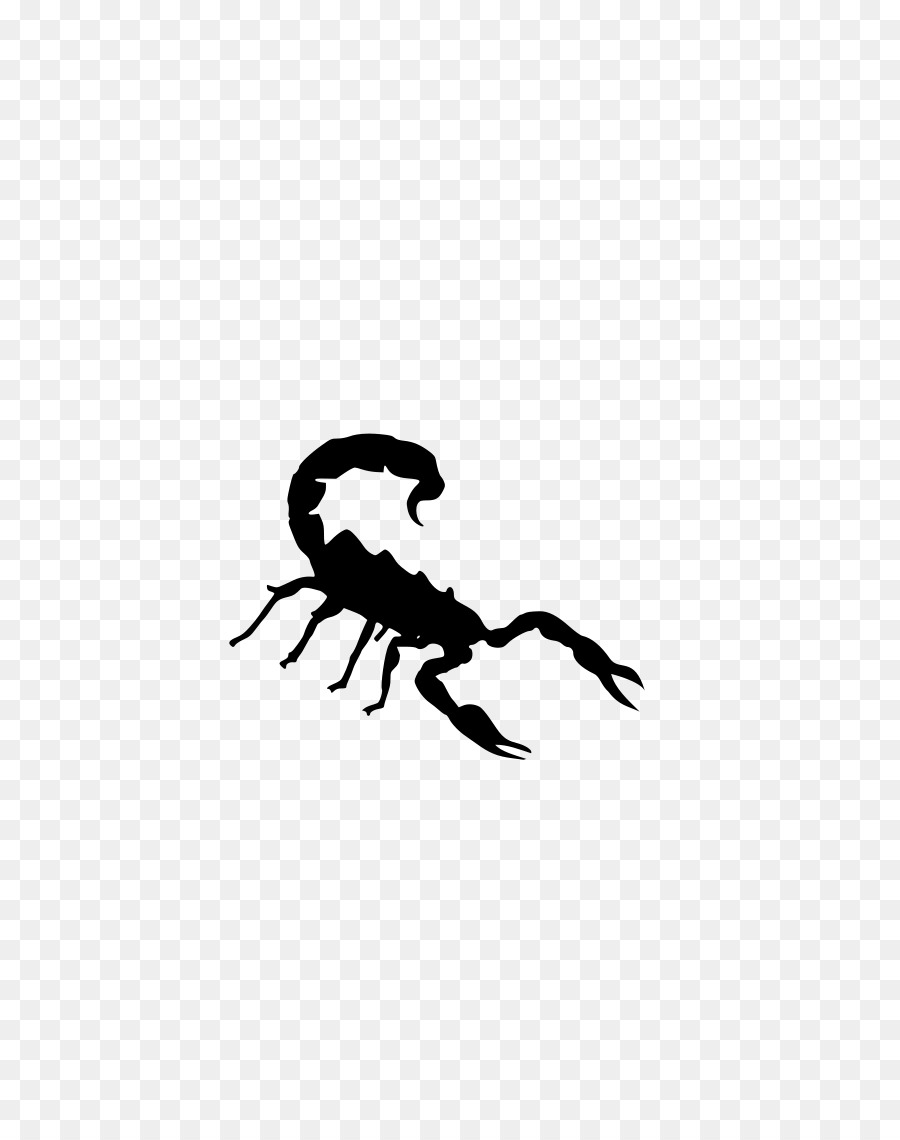 Scorpion，Télécharger PNG