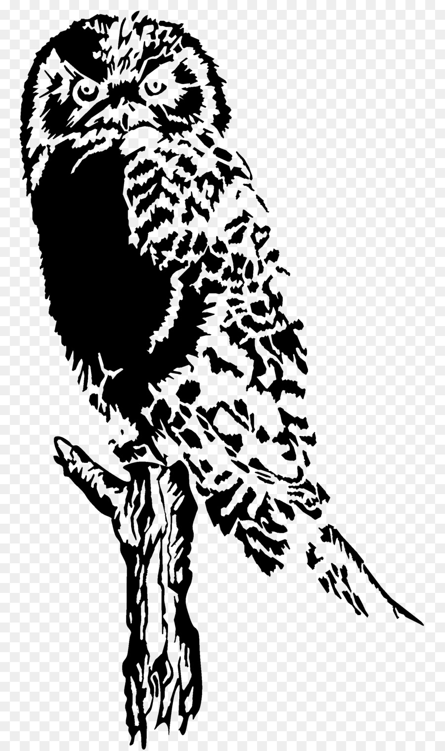 Hibou，Bifurquer PNG