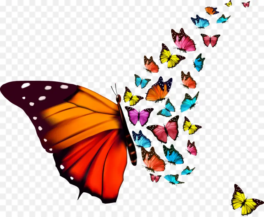 Papillons，Coloré PNG