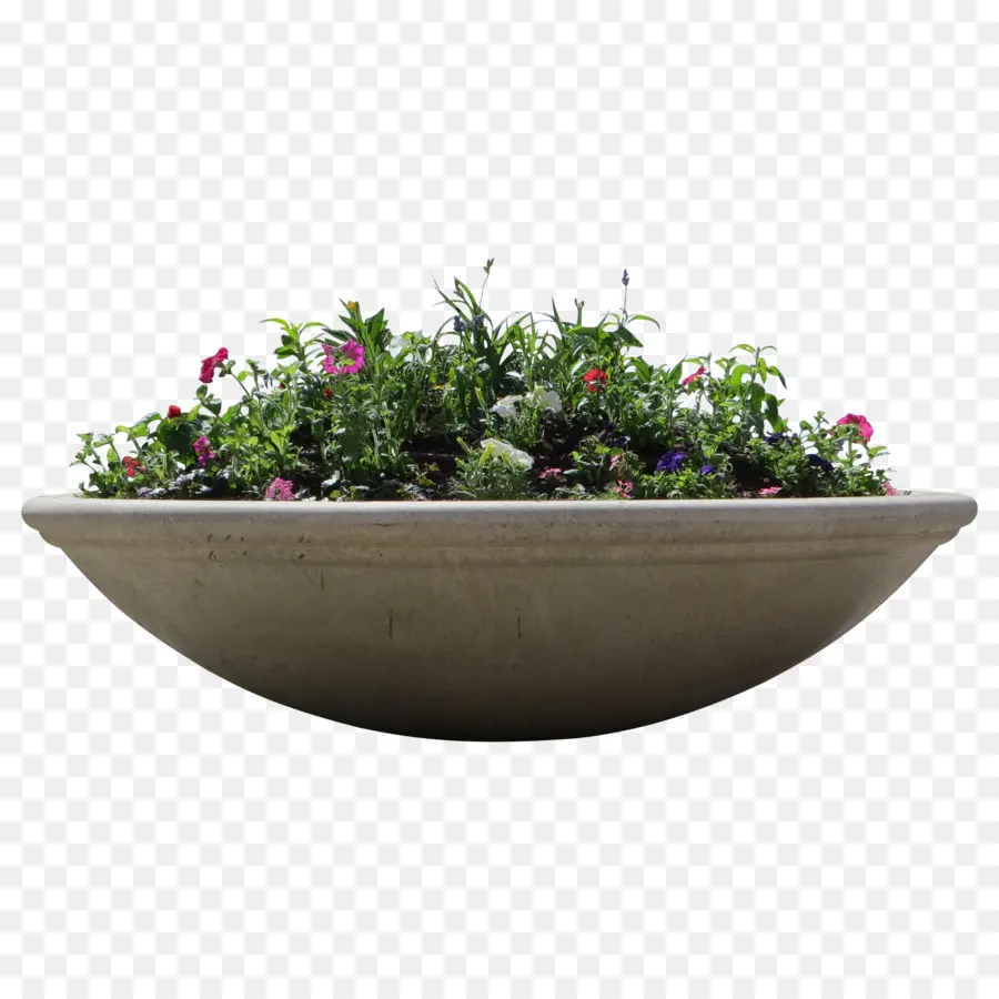 Flowerpot，Boîte De Fenêtre PNG