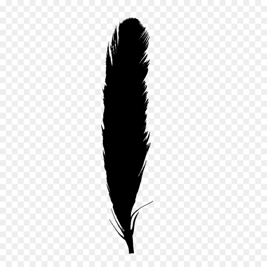 Plume，Penne PNG