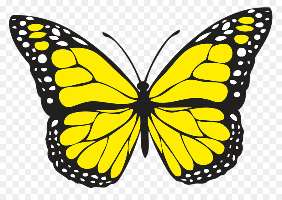 Papillon Jaune，Insecte PNG