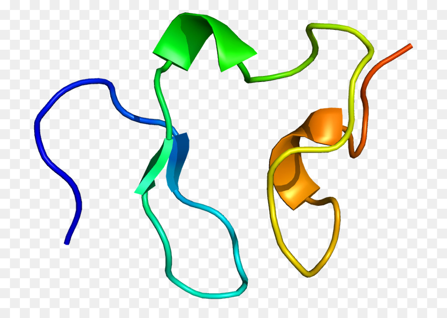 Récepteur Des Ldl，Lowdensity Lipoprotéines PNG