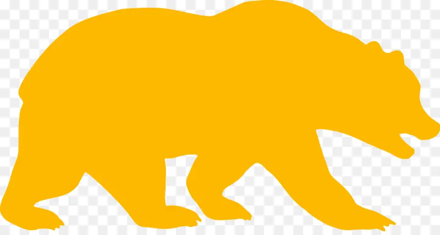 L Université De Californie à Berkeley，California Golden Bears De Basket Ball Féminin PNG