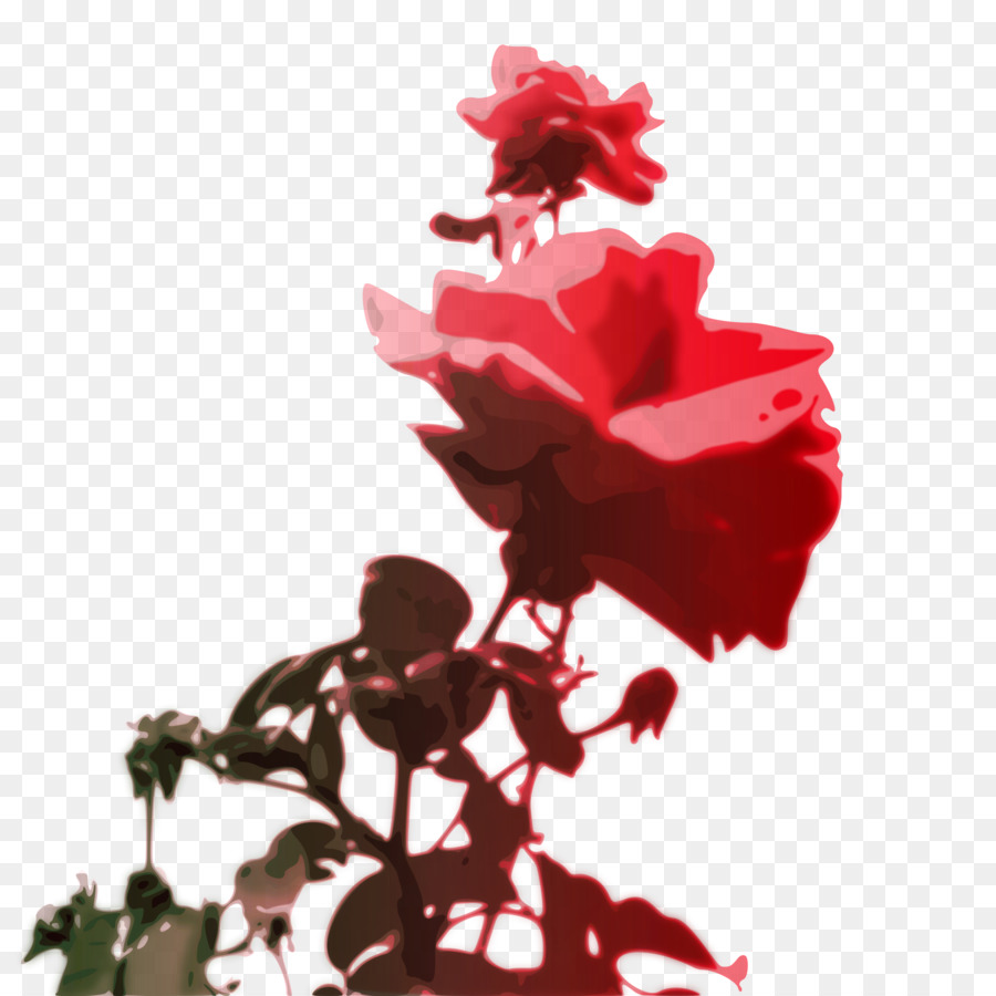 Rose Rouge，Usine PNG