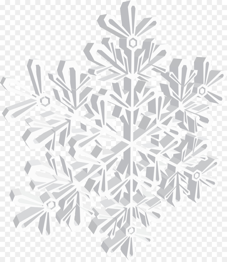 Flocon De Neige，Hiver PNG