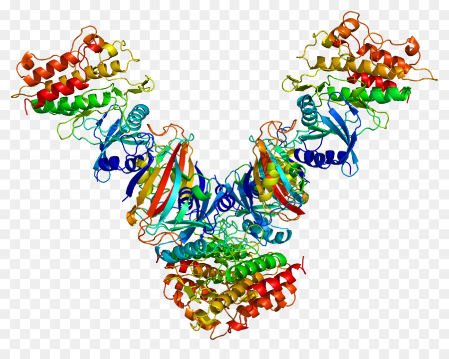 Structure Des Protéines，Molécule PNG