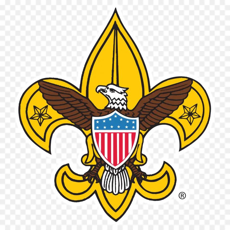 Emblème Des Scouts，Aigle PNG