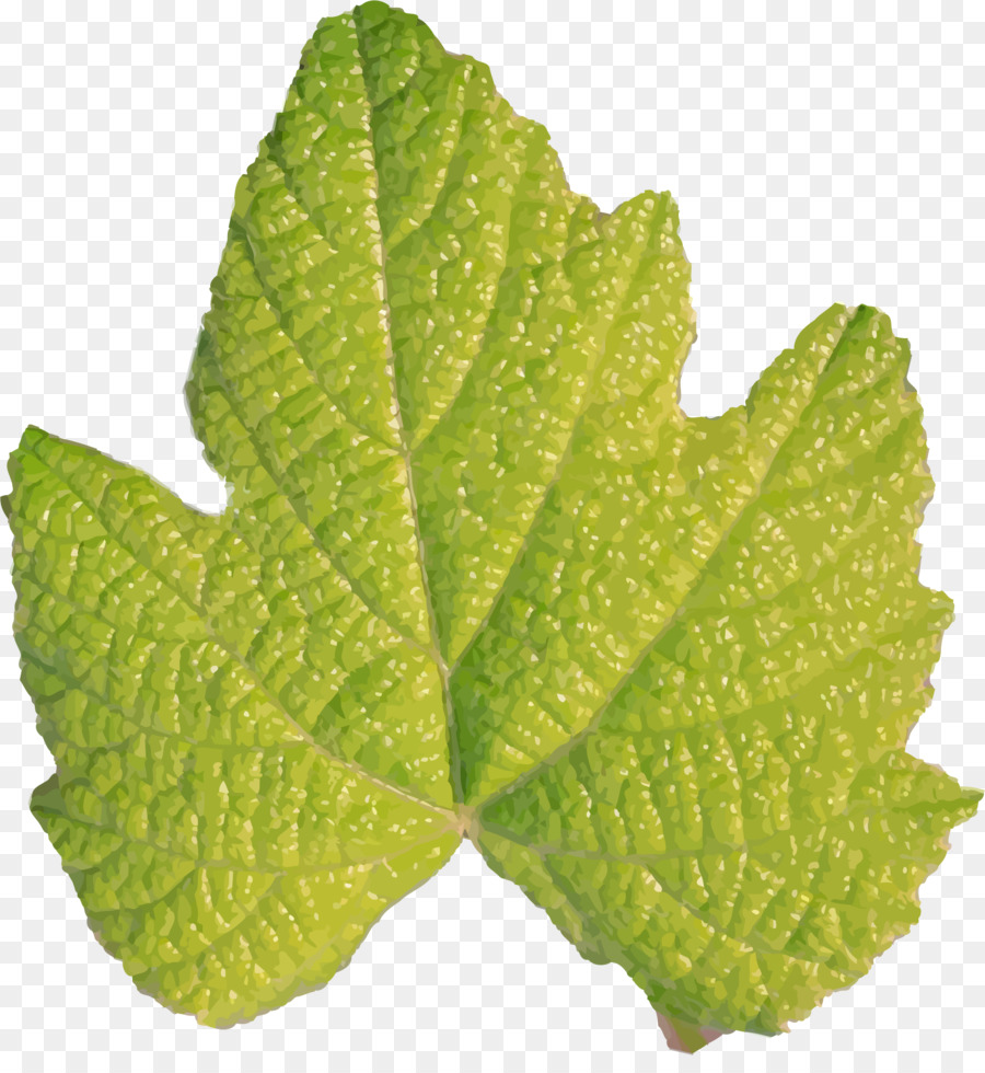 Feuille Verte，Usine PNG