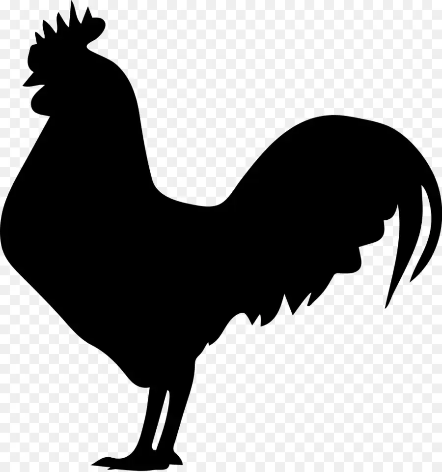 Pochoir，Coq PNG