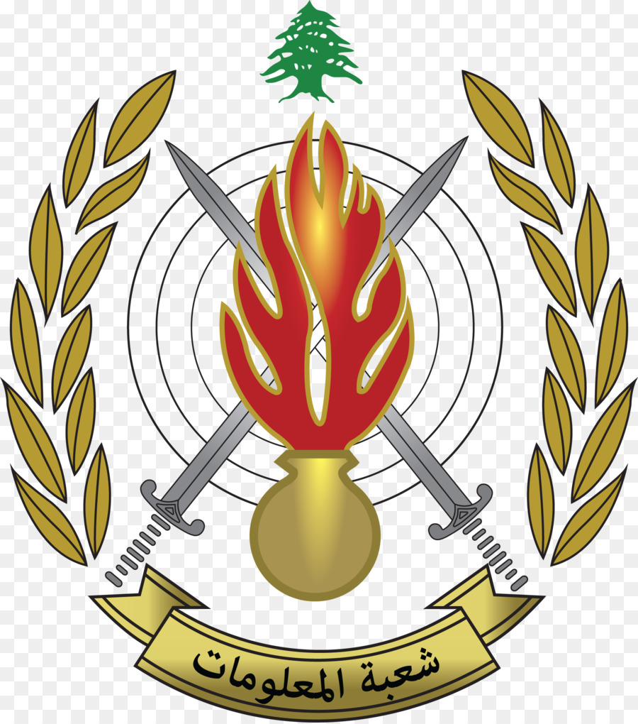 Emblème Militaire，Insigne PNG