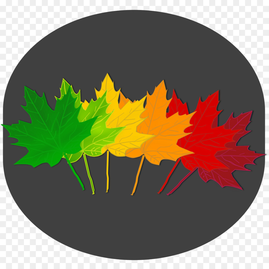 Feuilles Colorées，Automne PNG