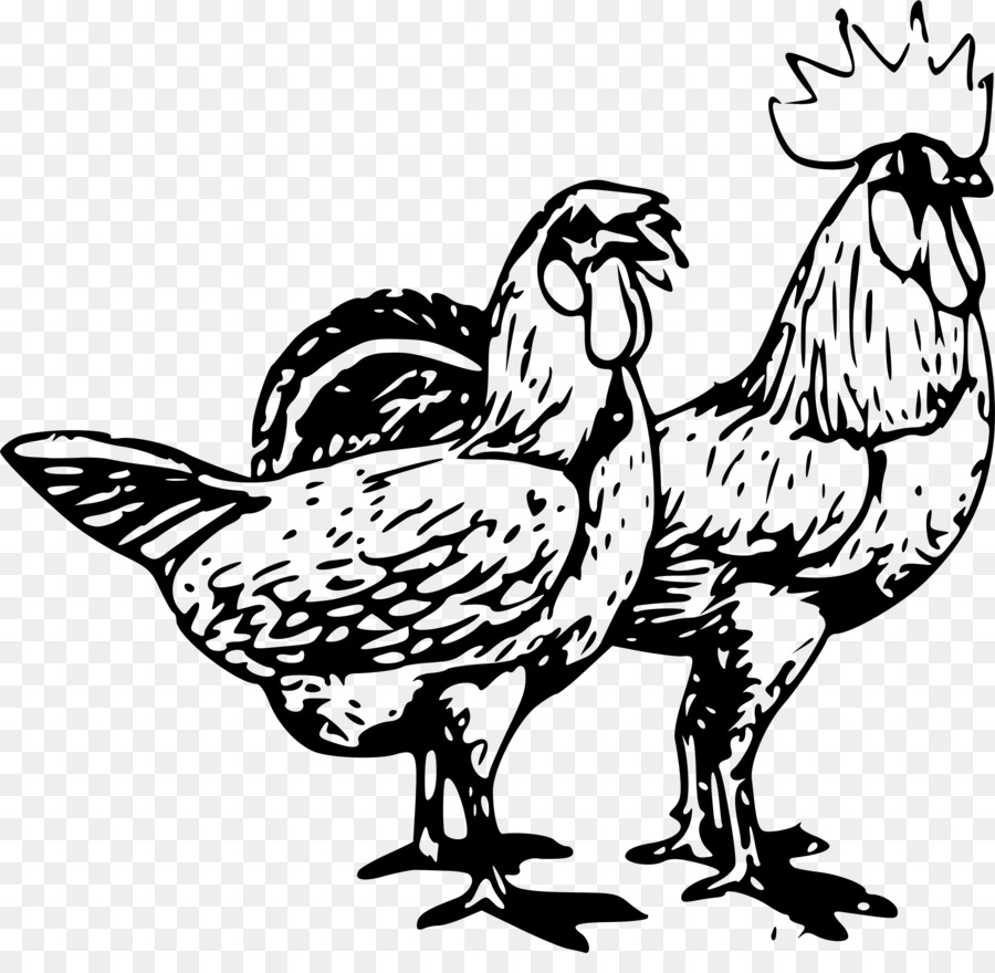 Poulets，Coq PNG