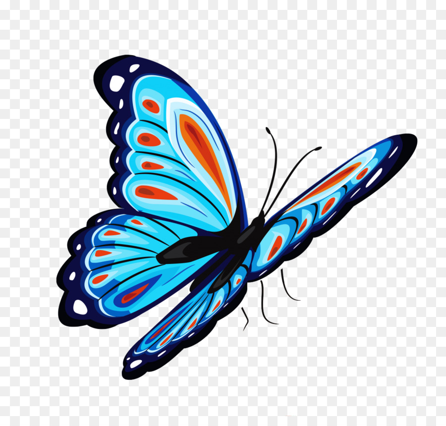 Papillon Coloré，Ailes PNG