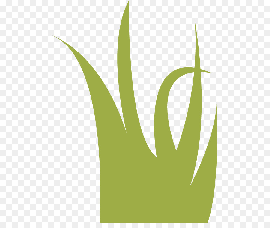 Feuille，Logo PNG
