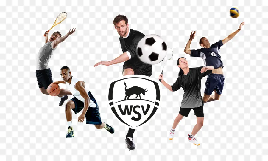 Wsv，Sport PNG