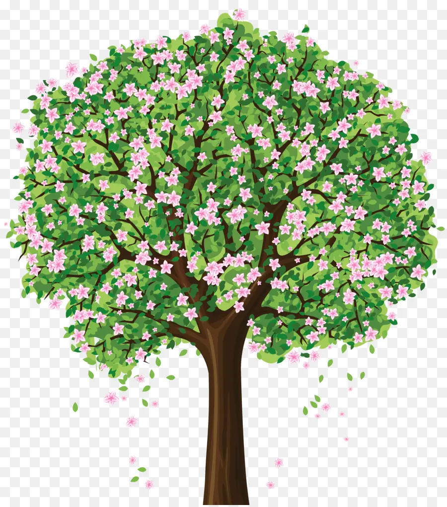 Arbre En Fleurs，Fleurs PNG