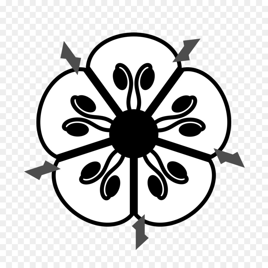 Diagramme Floral，Fleur PNG