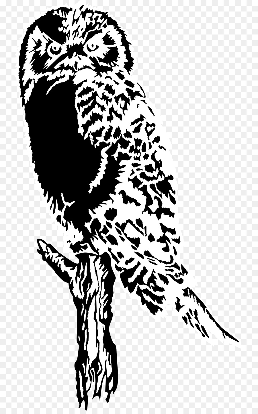 Hibou，Bifurquer PNG