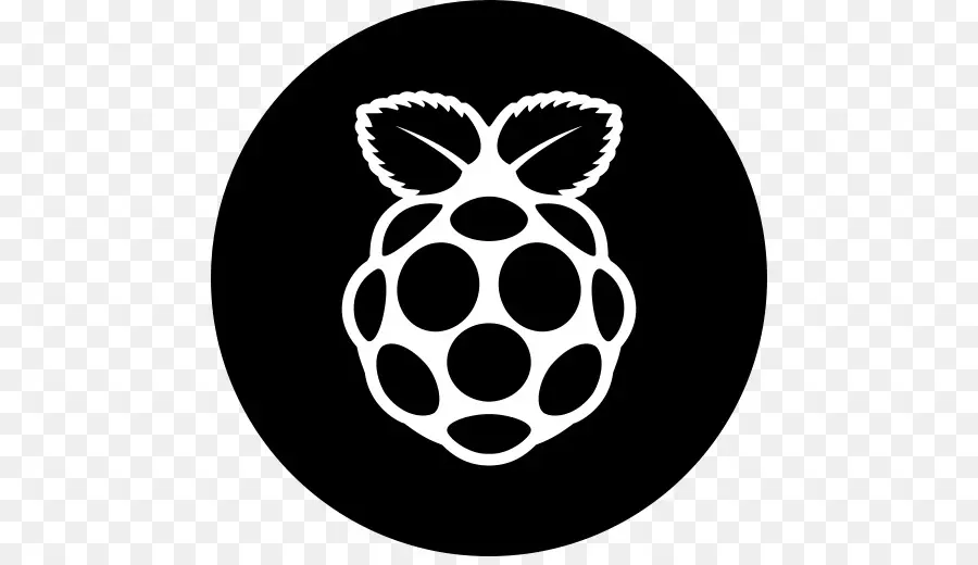 Framboise Pi，Technologie PNG