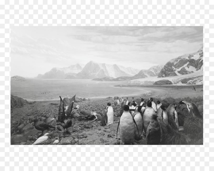 Hiroshi Sugimoto Dioramas，Boîte Noire Hiroshi Sugimoto PNG