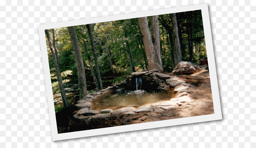 Étang De Jardin，Eau PNG